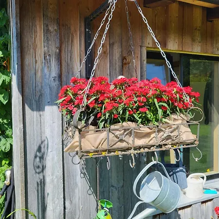 아파트 Peter Und Britta Thal (Bregenz)