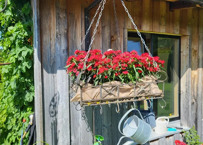 Apartamento Peter Und Britta Thal (Bregenz)